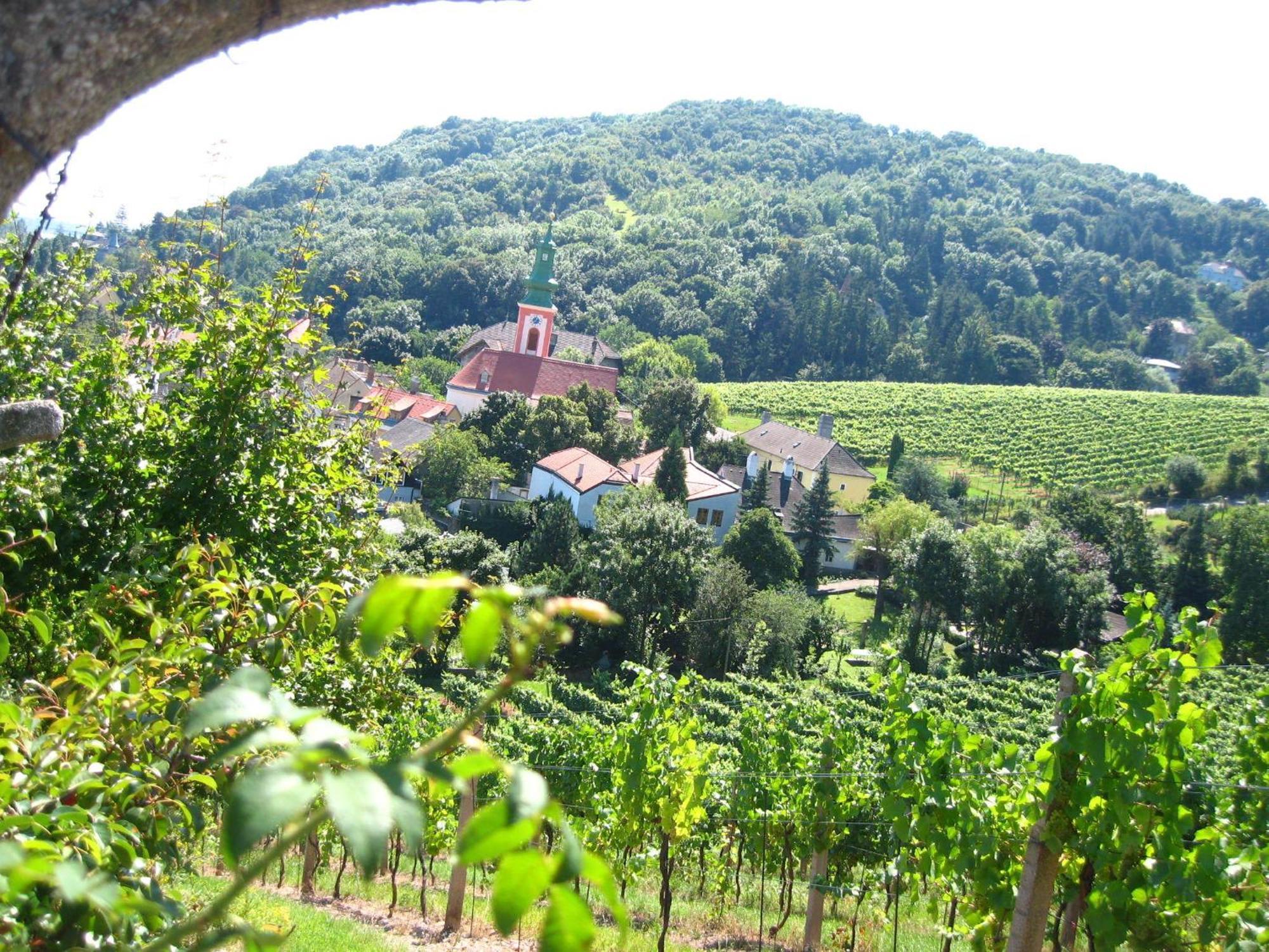 Vienna Cottage 외부 사진